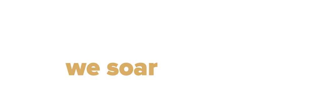 together we soar logo the campaign for georgia southern university
