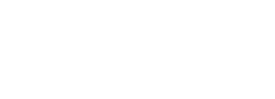 elevate